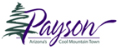 client-payson